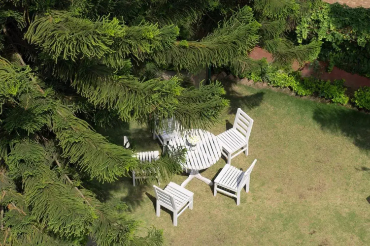 Swayambhu View Guest House