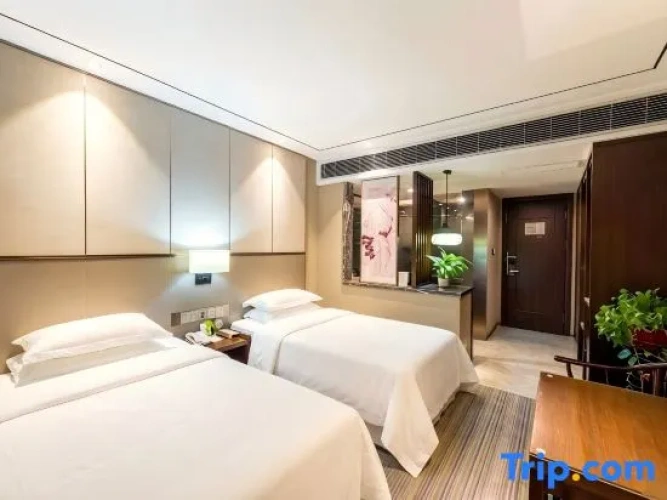 Comfort Twin room