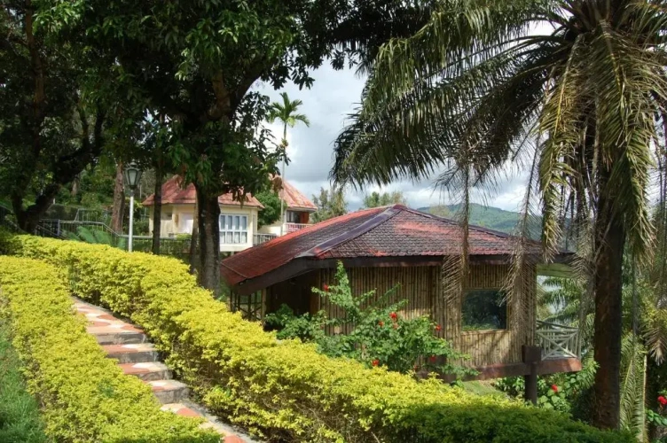 Cottage