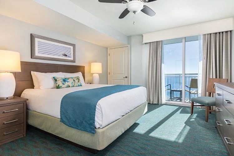 1 Bedroom Suite