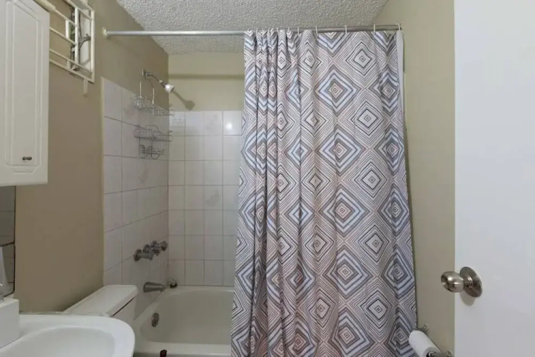 Kingston Most Centrally Located One Bdrm