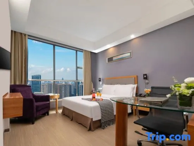 Standard Double room with city view