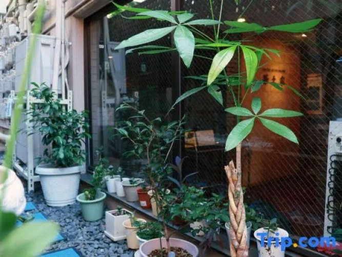 Outside