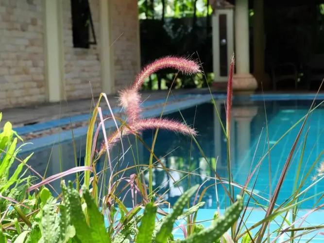 Picha Waree Resort