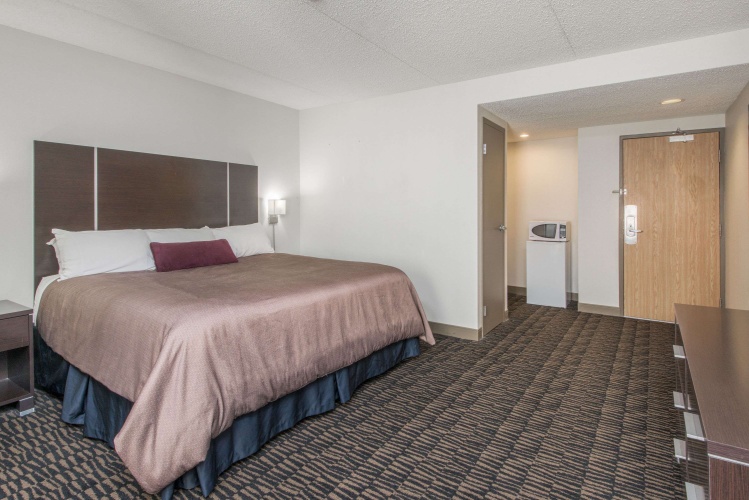 Ramada Plaza by Wyndham Niagara Falls photo 7