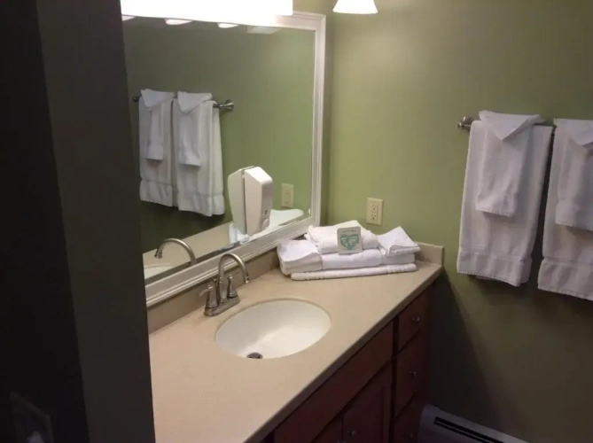 Standard Twin Suite