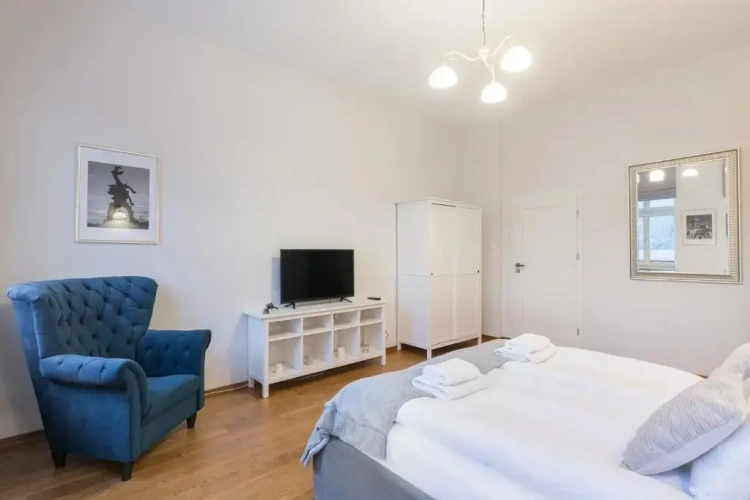Deluxe Apartment