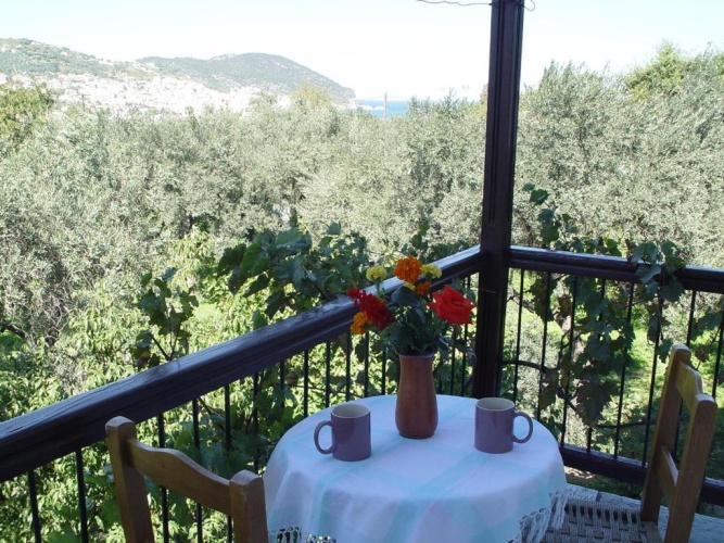 Standard Double room with balcony and with view