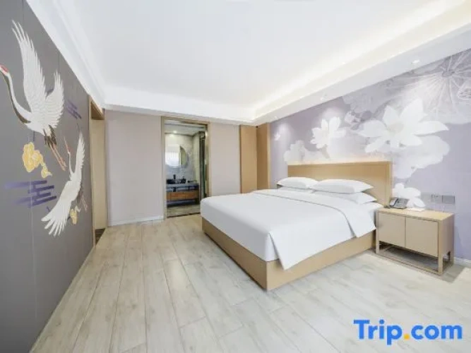 1 Bedroom Suite