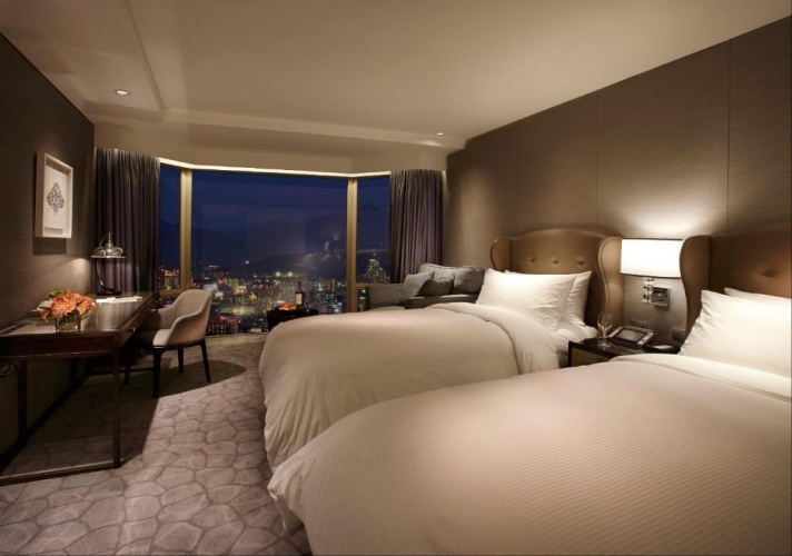 Deluxe Twin room with city view