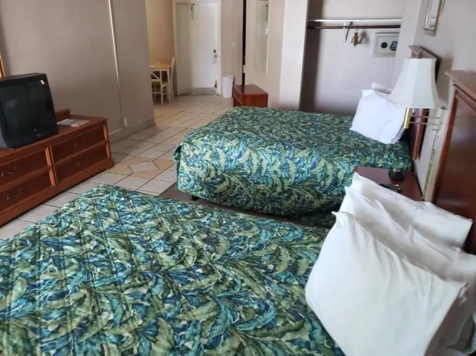 Standard Double room with balcony and with garden view