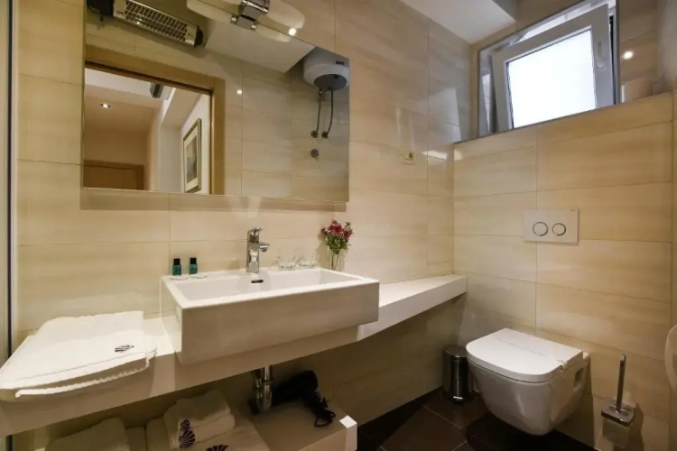 Standard Twin room with view