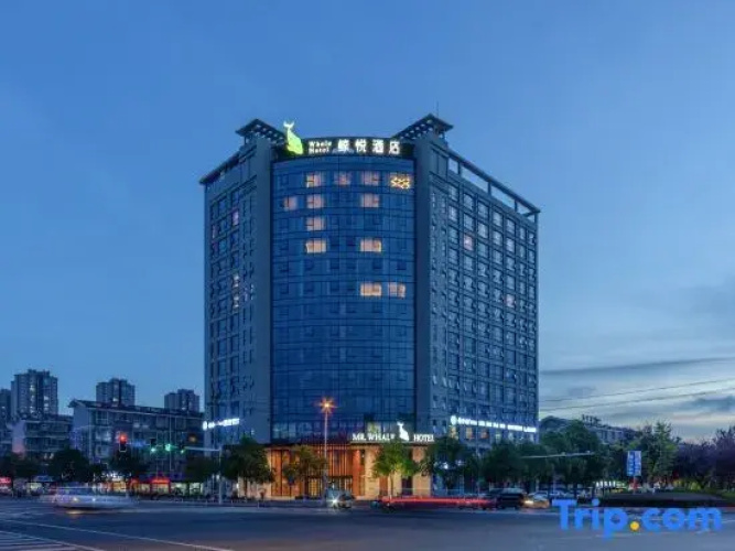 Mr. Whale Hotel