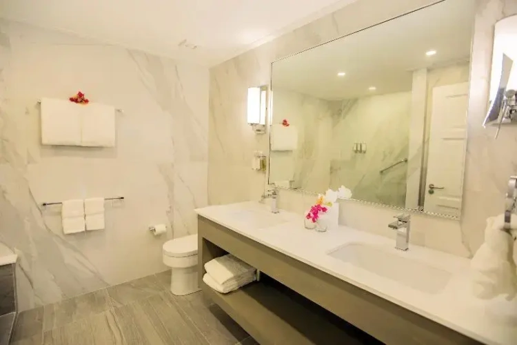 1 Bedroom Deluxe Suite with balcony