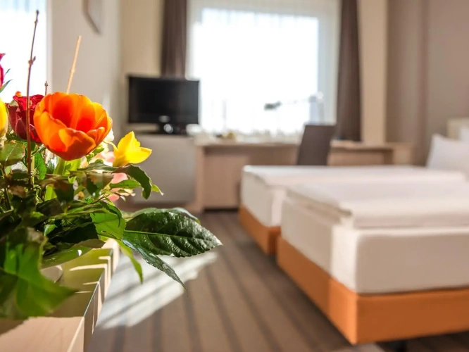 Superior Double room with garden view