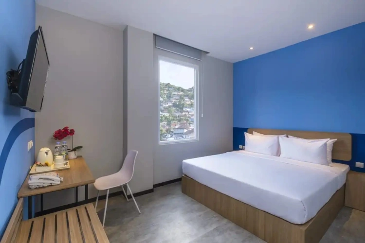 Standard Double room with mountain view