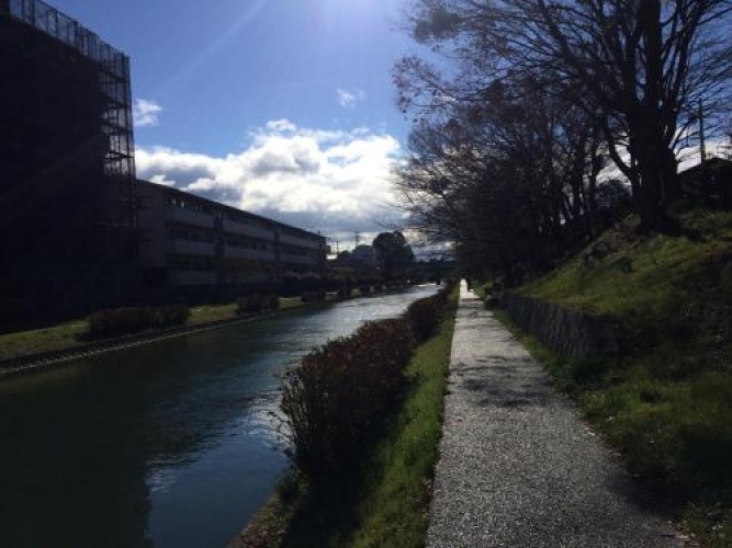 Suzume-An