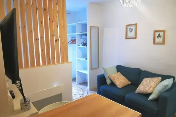 1 Bedroom Apartment