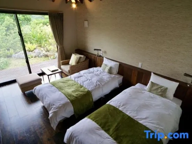 Standard Twin room with garden view