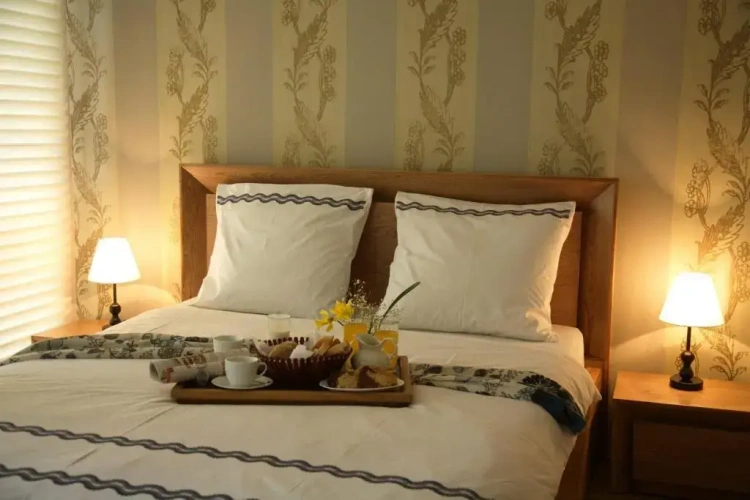 Standard Twin room with balcony and with view