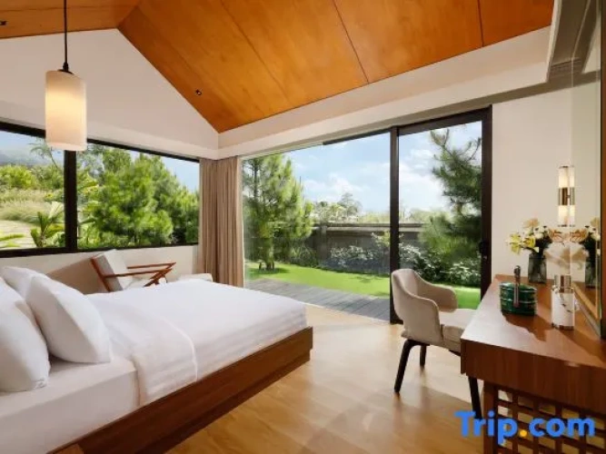 Standard Quadruple Family room with garden view