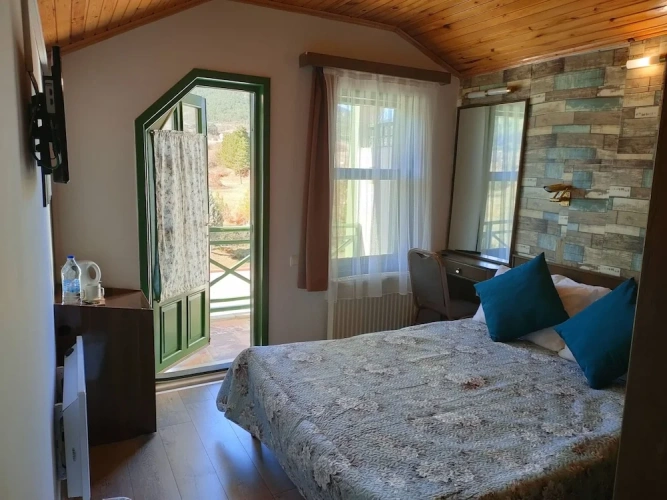 Standard Double room with mountain view