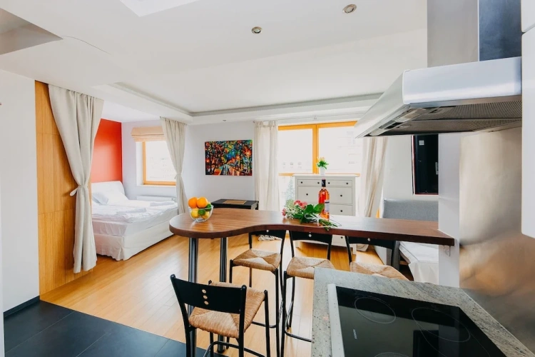 Business Double Apartment with city view