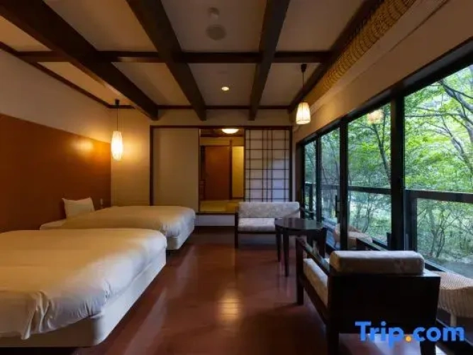 Standard room with mountain view