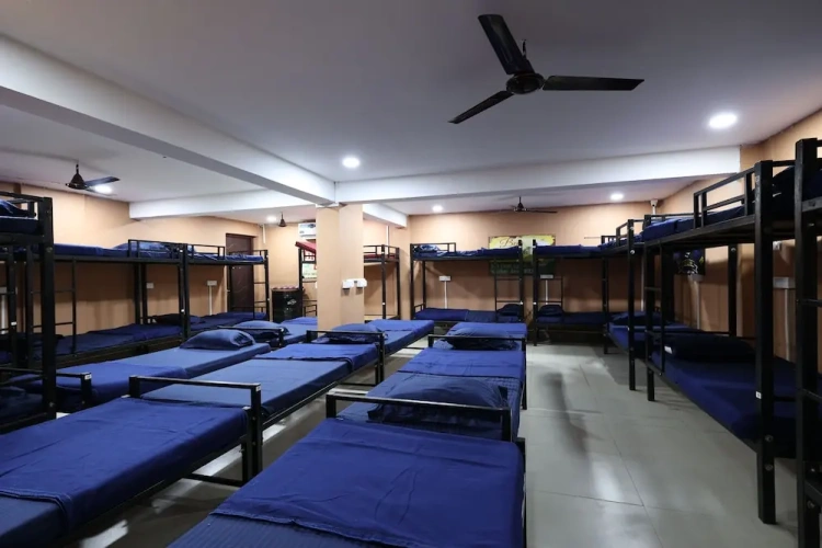 Bed in Dorm