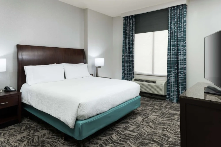 1 Bedroom Suite