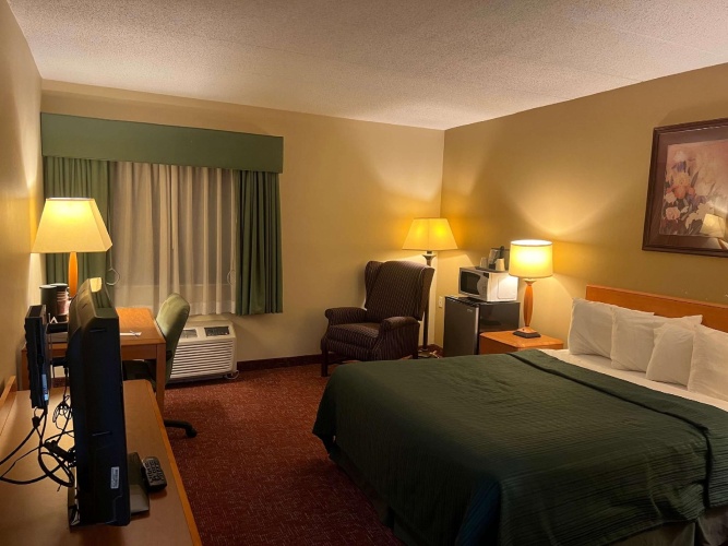 Standard Double room