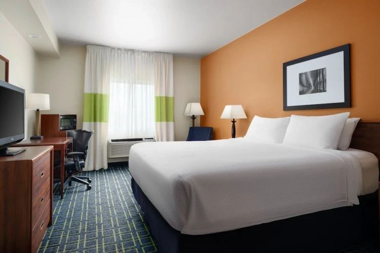 Single Suite