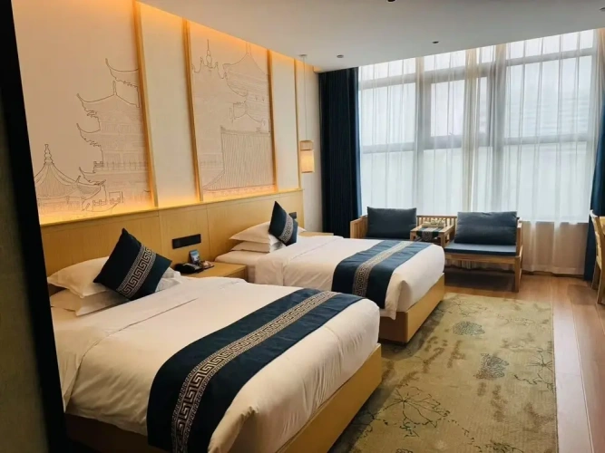 Superior Twin room with land view