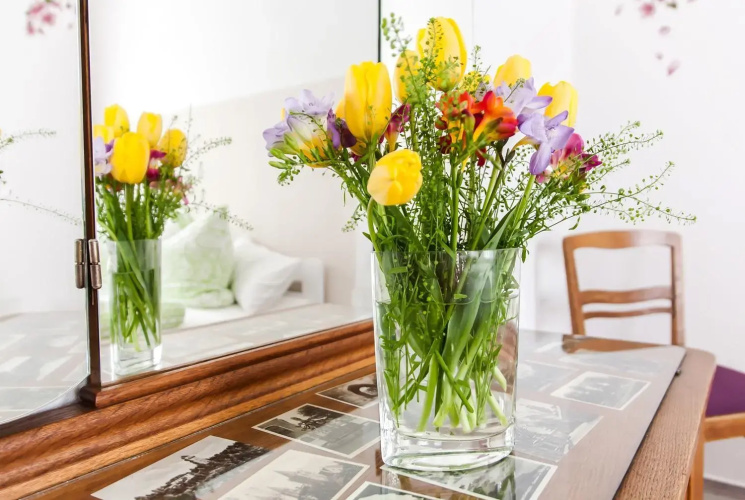 Ferienwohnung Helianthus