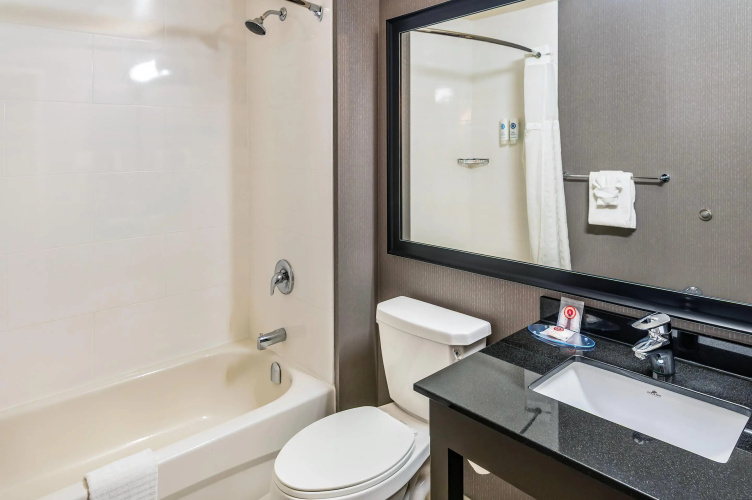 Comfort Inn East photo 11