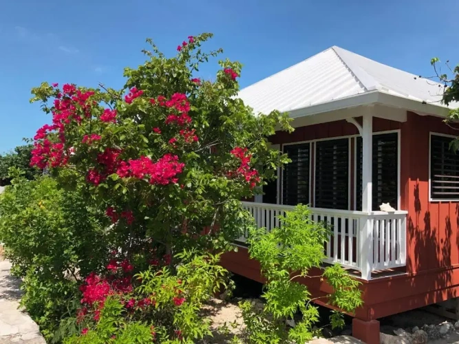 1 Bedroom Double Villa with garden view