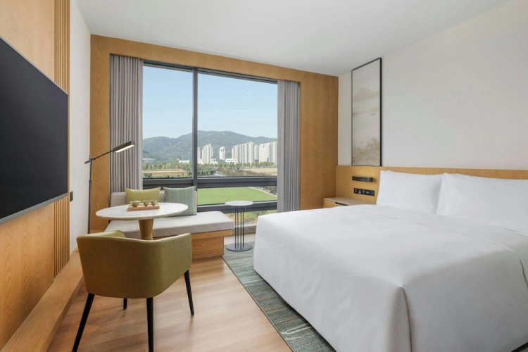 Premium Double room with city view