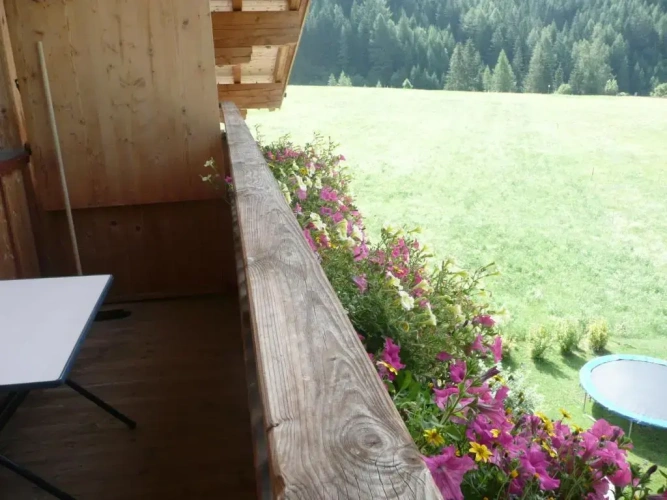 1 Bedroom Apartment with balcony