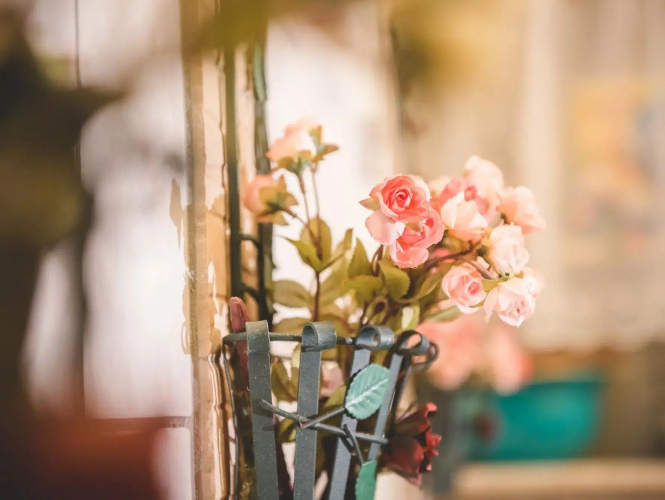 Rose B&B