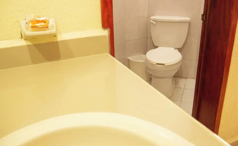 Hotel Plaza Mazari