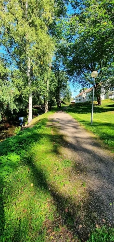 Economy Single room with garden view