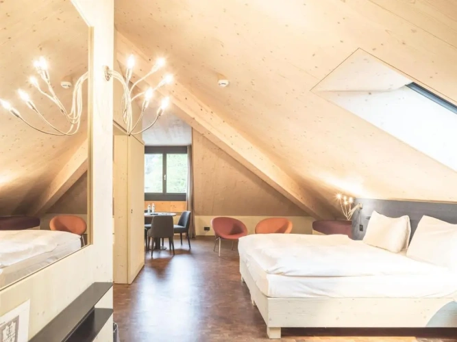 Standard Attic room