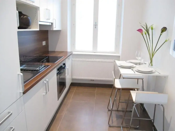 1 Bedroom Apartment