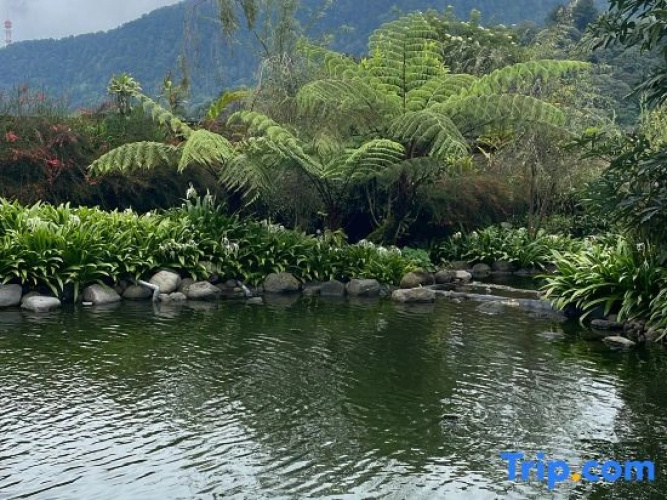 Dusun Bedugul Asri