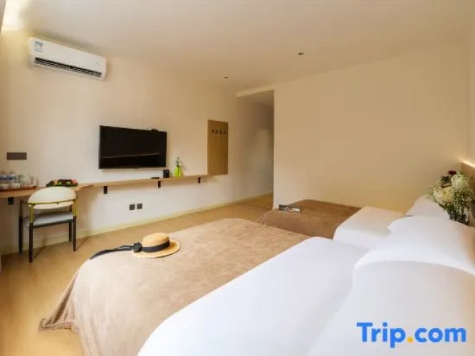 Standard Twin room with city view