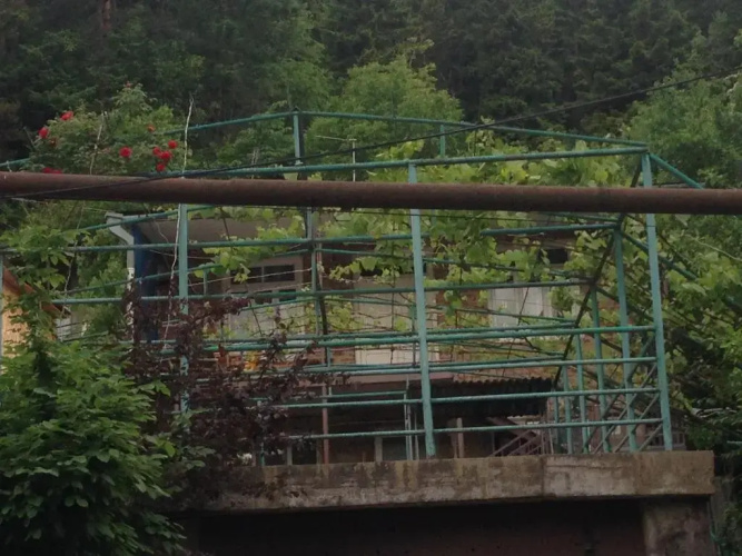 Green Borjomi