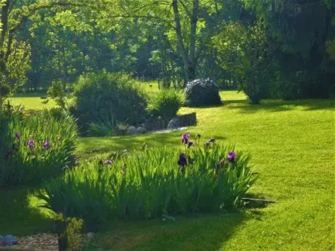Domaine de l'Olifant