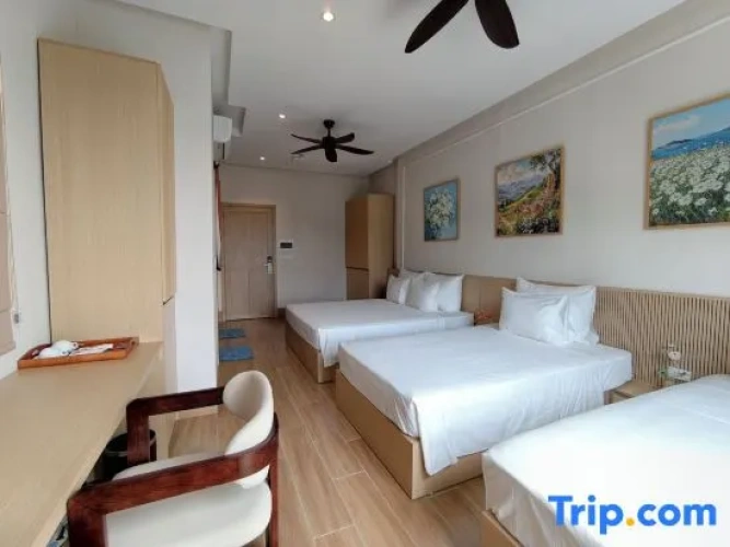 Standard Triple room with city view