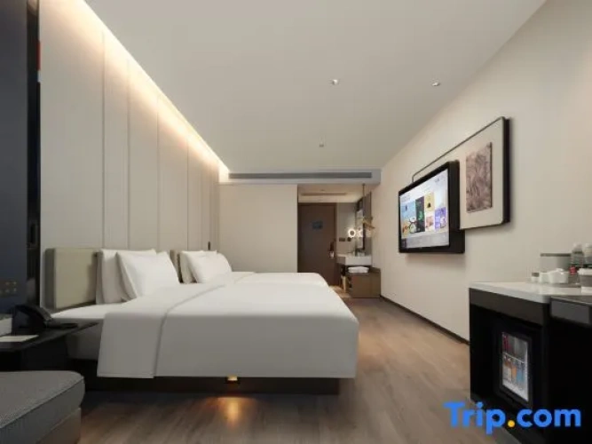 Executive Double Family room