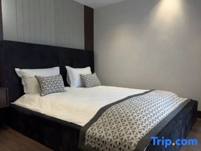 Standard Double Penthouse room with city view